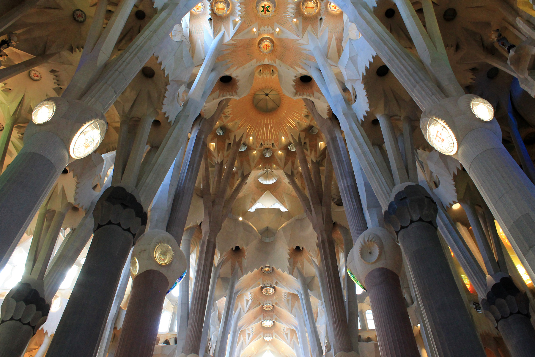 Inside the Sagrada Familia. The image was taken from the nave of the basilica pointing up at the vaulted ceiling. The nave is flanked by two rows of columns that resemble tree trunks and branches climbing toward the sky. There are many points of light and shadow as the sunlight streams in through the windows.