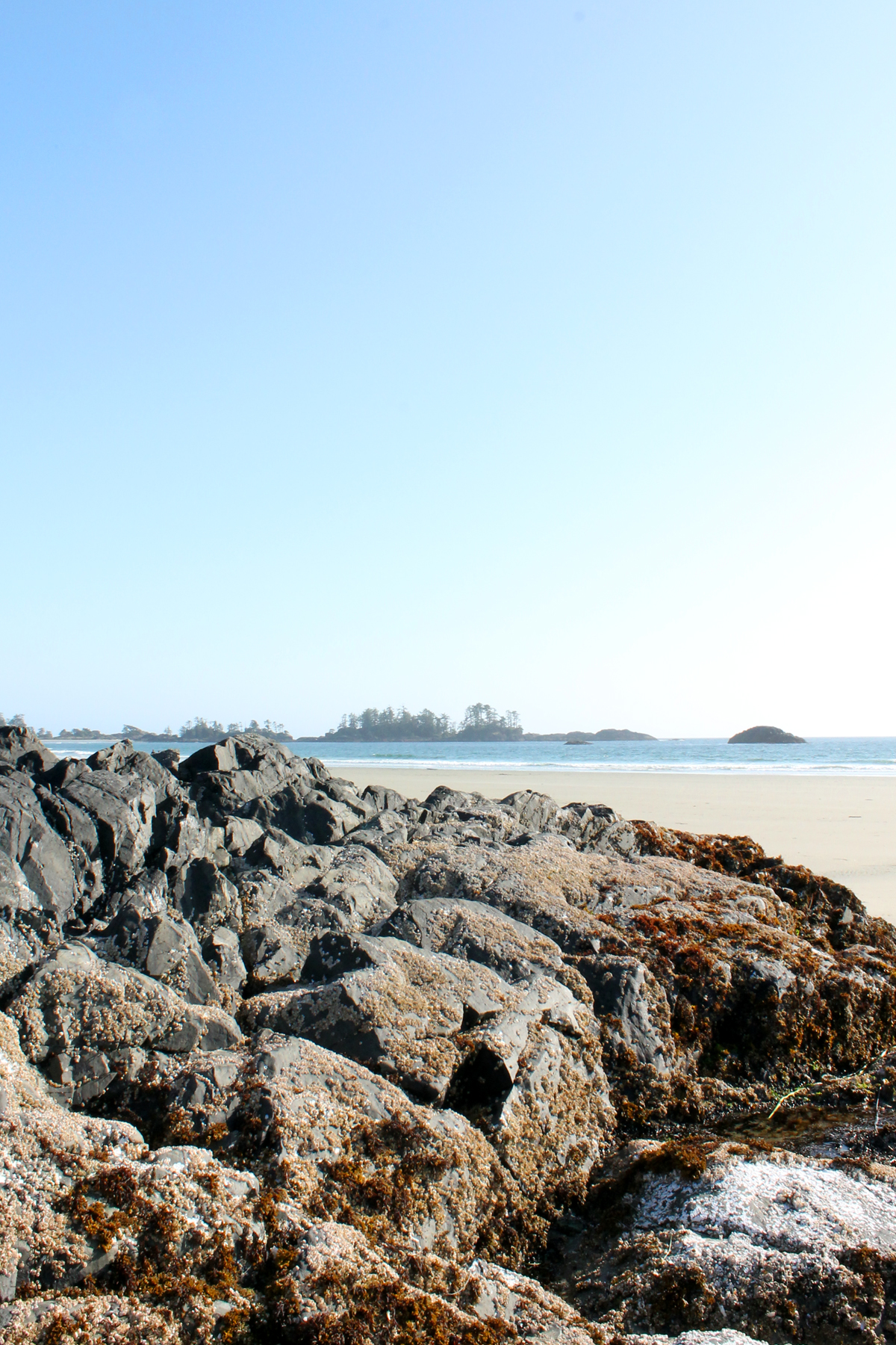 Chesterman Beach in Tofino, Canada on a bright, sunny day. The sky is a pale blue with no clouds. In the foreground is a mound of grey rocks, some of which are covered in seaweed and salt. In the background is a small sliver of white sand beach and the Pacific Ocean. Silhouettes of rocky outcrops with some trees are a short distance offshore.